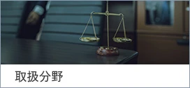 取扱分野